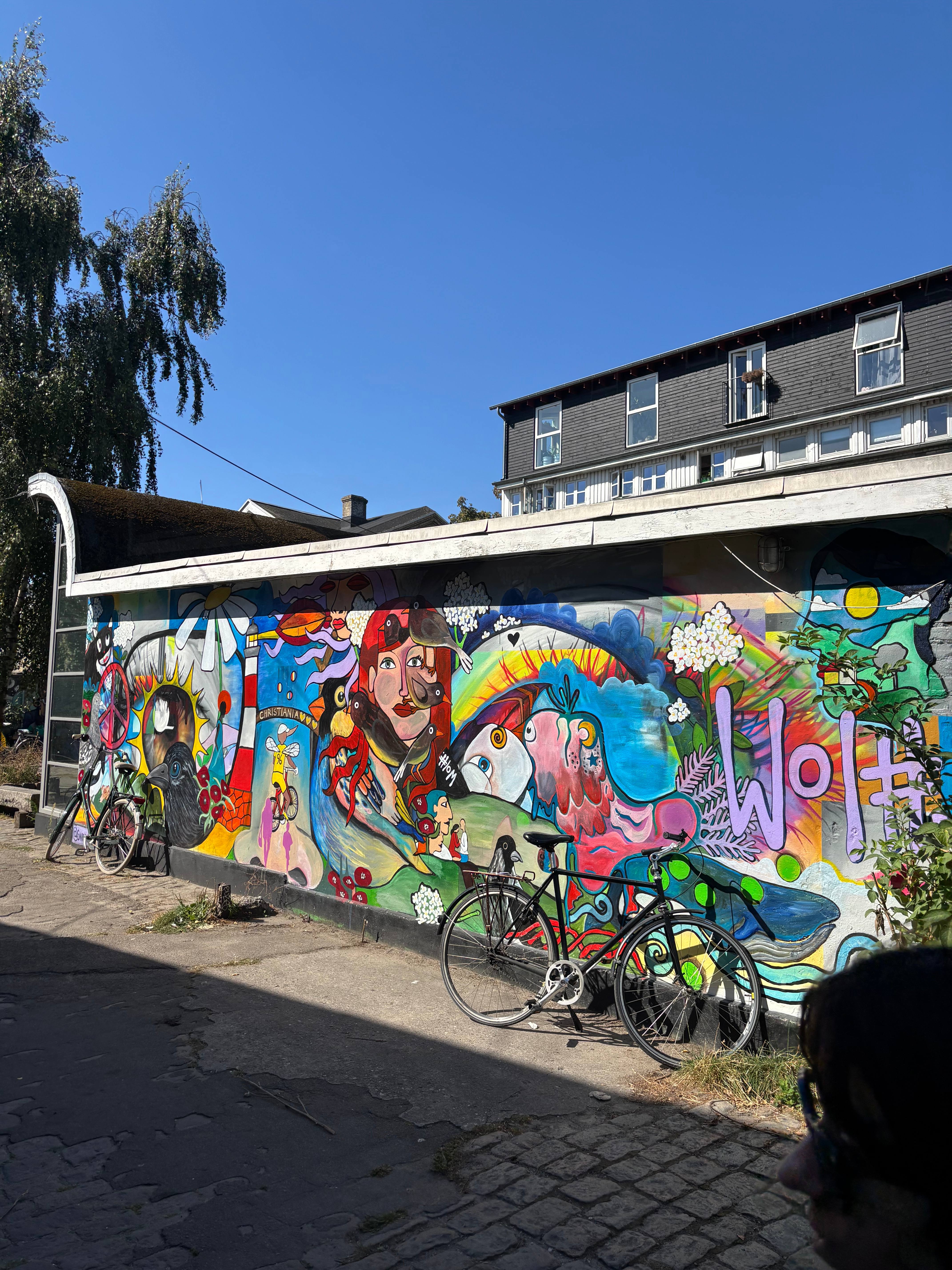 I actually think you weren't allowed to take photos here but the street art was beautiful.